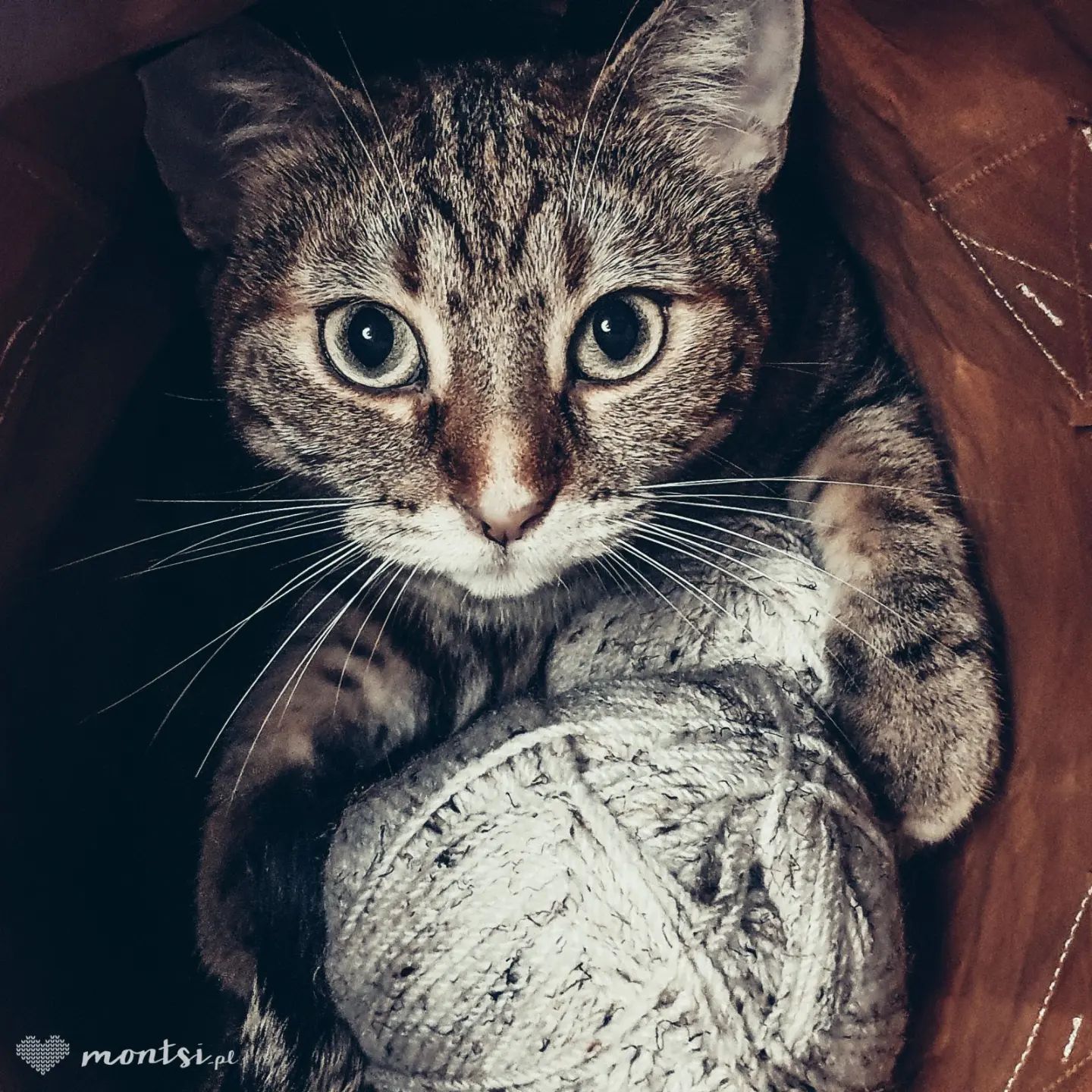 Po nitce do kotka 😼

#ramithecat #catsofinstagram #catlife #cats_of_world #instacat #catsgram #catslover #lifewithcats #knitting #crocheting #handmade #catsandcrafts #homedecor #diy